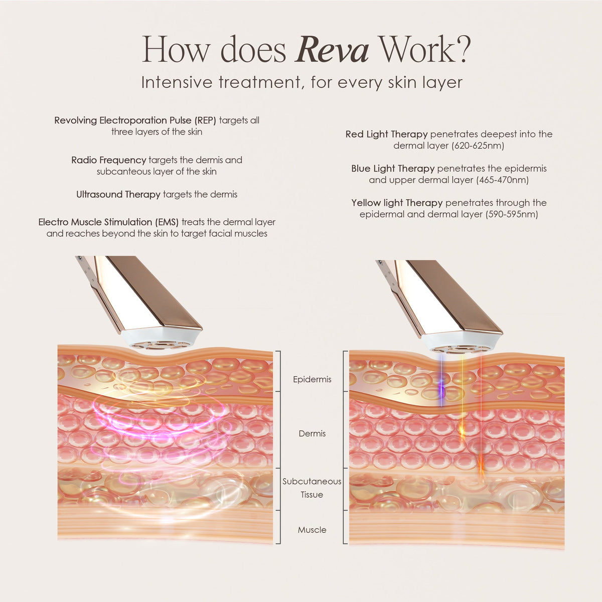 REVA | Instant Age Renewal Wand