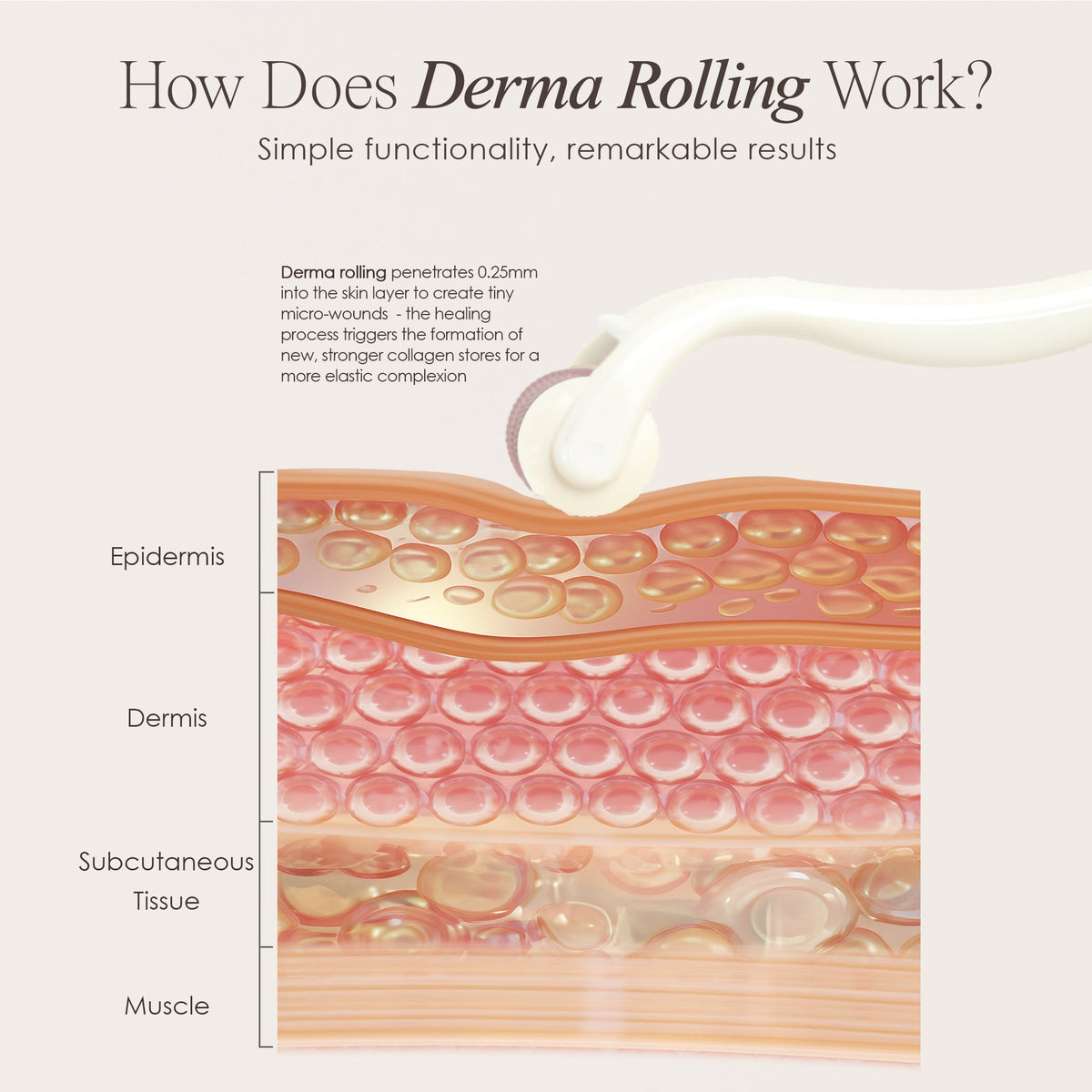 The Derma Roller | 540 Titanium Microneedle Facial Tool